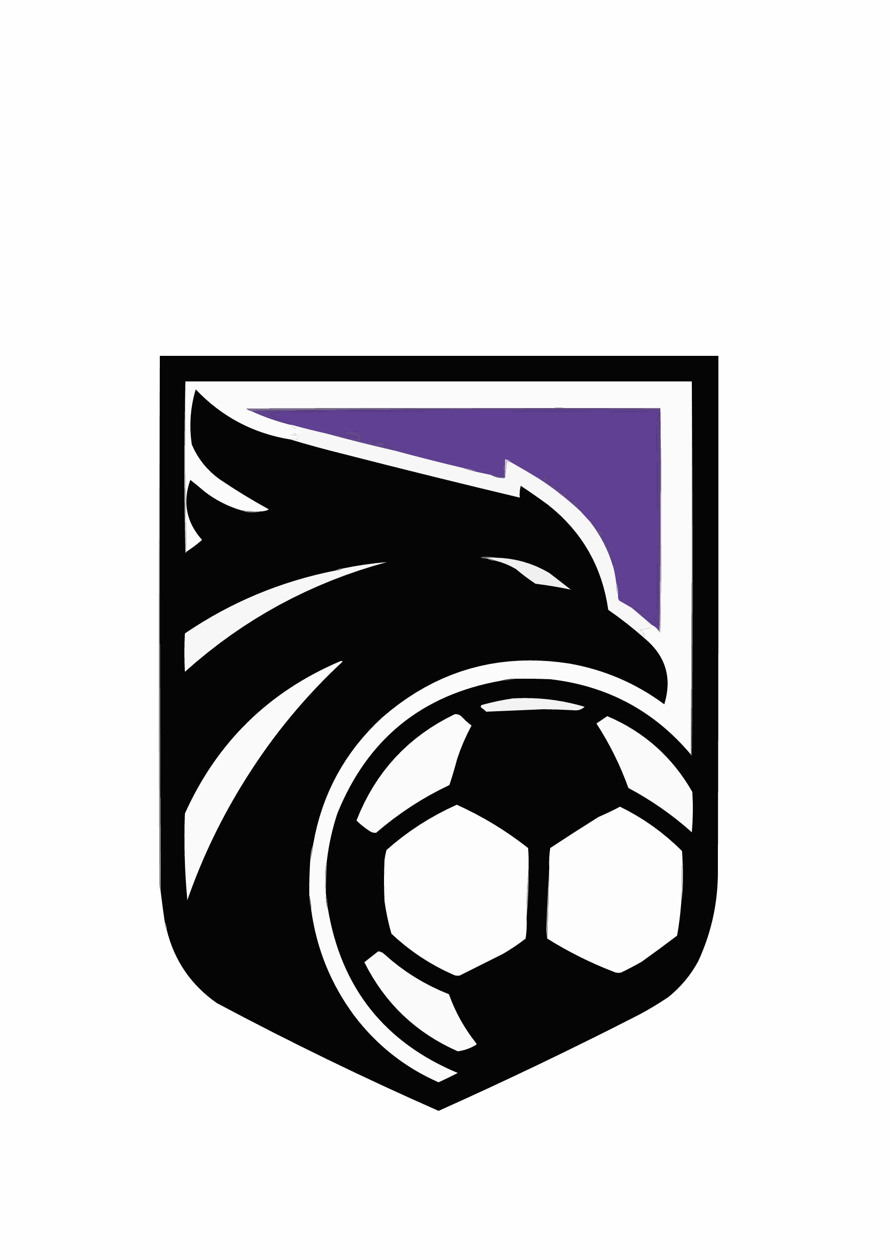 Academia Fénix