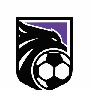 Academia Fénix