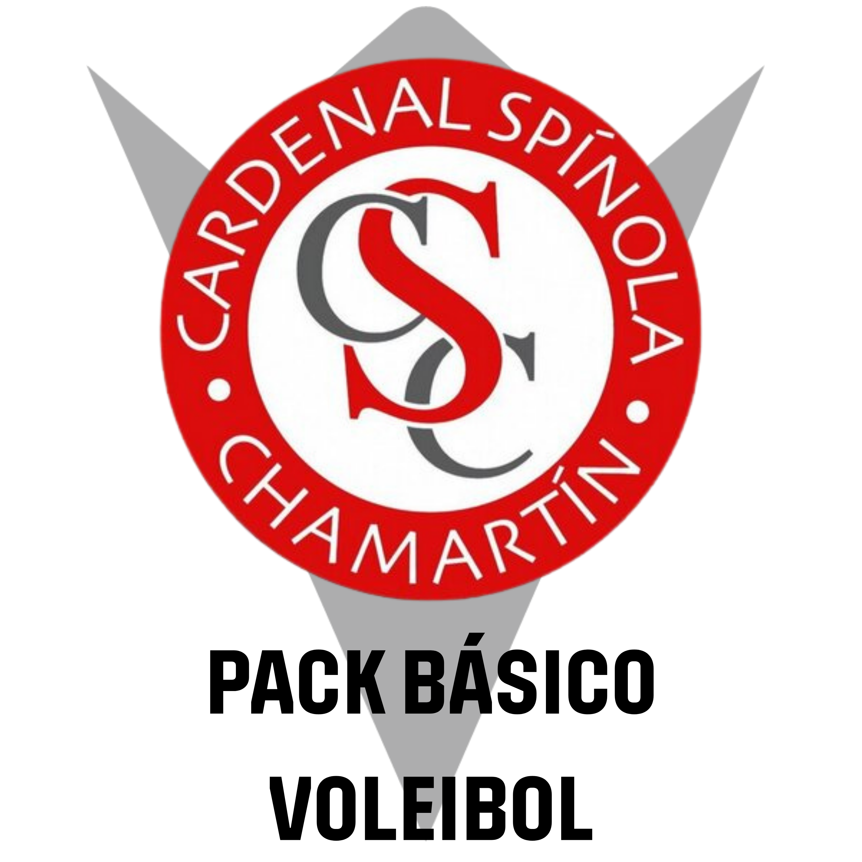 [VoleySpinola] Pack básico voleibol
